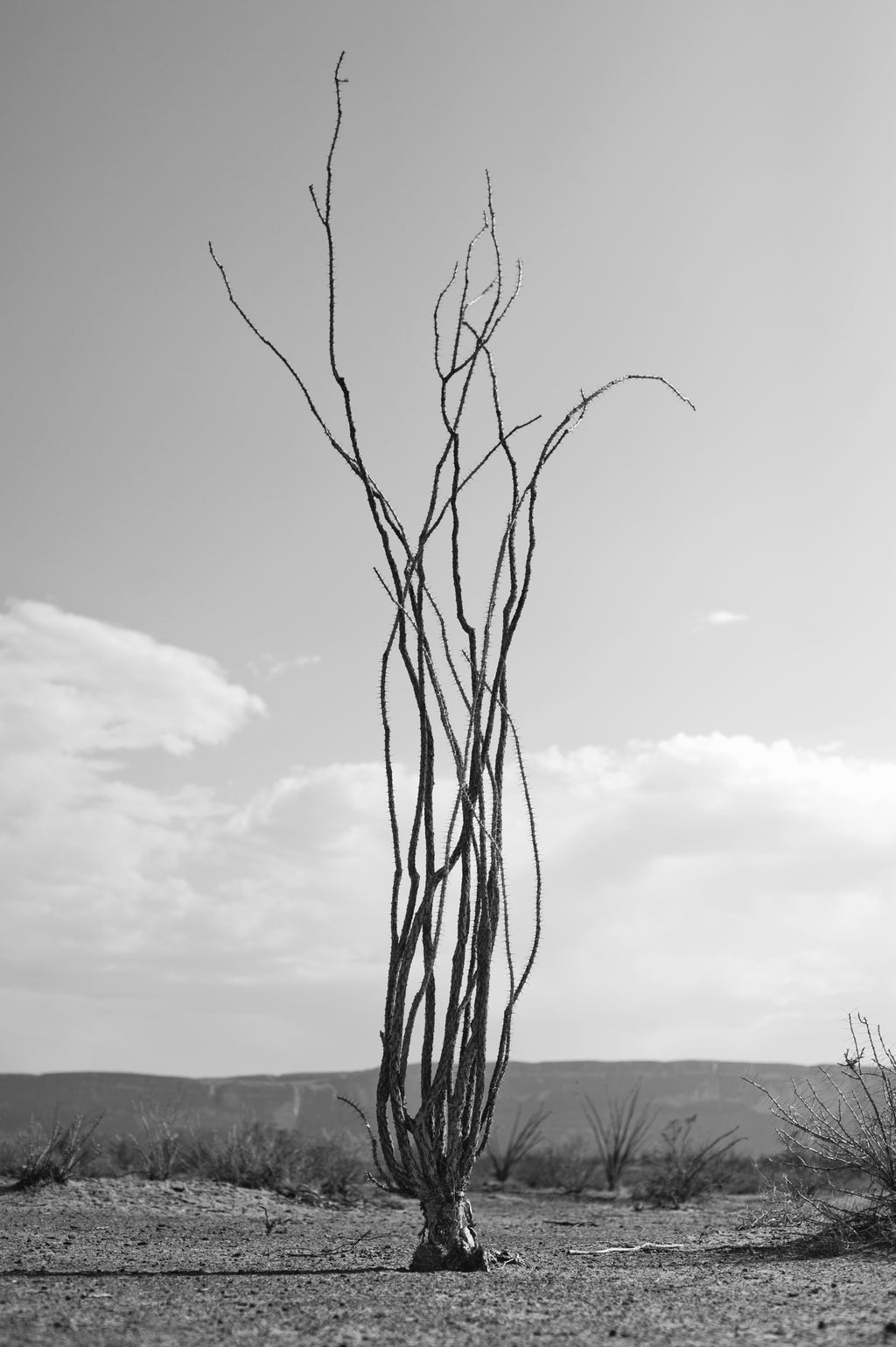 'To Live And Die In Brewster County' Photo Book