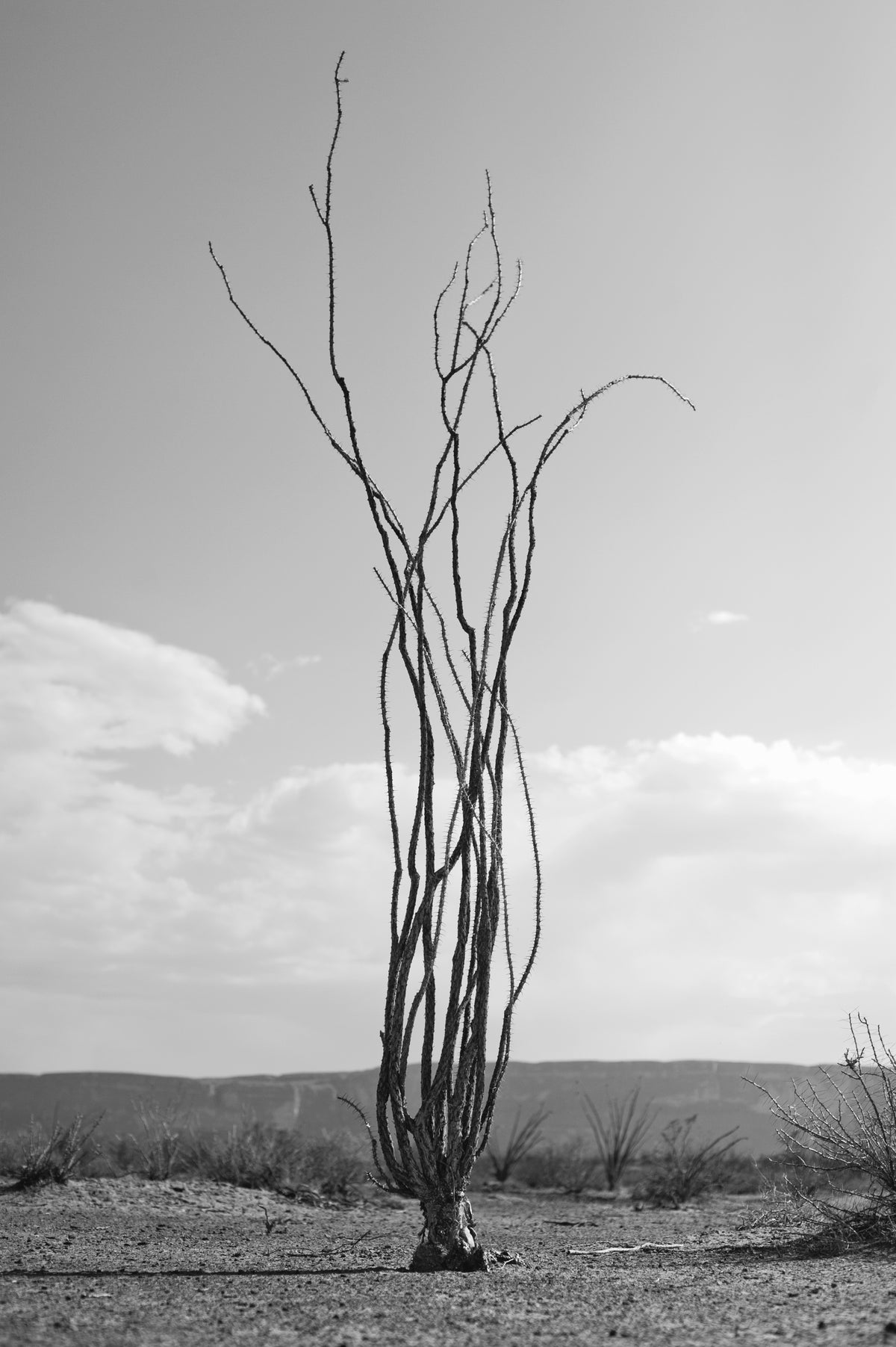 'To Live And Die In Brewster County' Photo Book