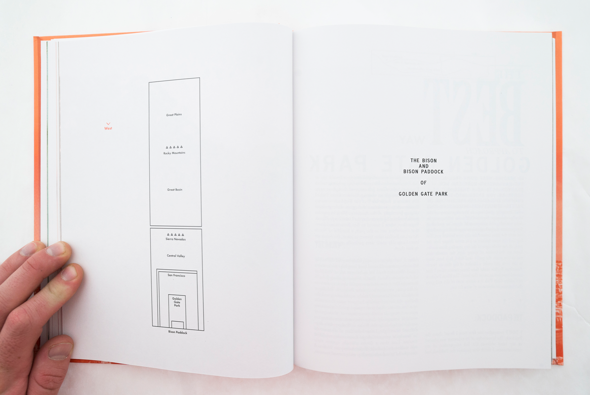 'The Block The Beast The Tower' Book