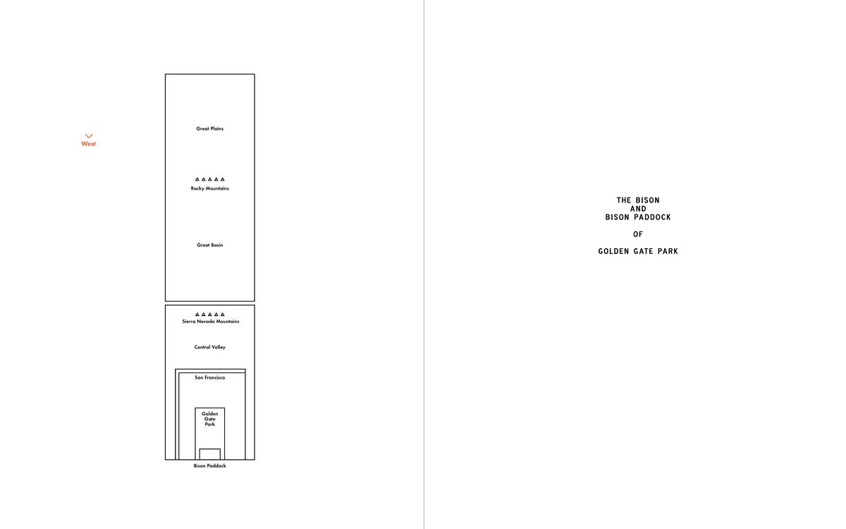 'The Block The Beast The Tower' Book
