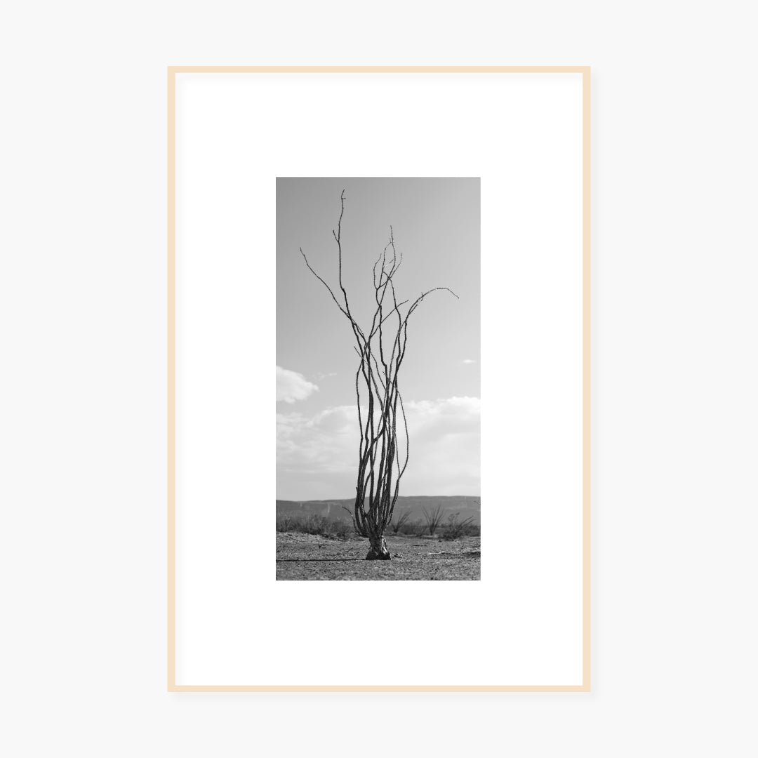 Framed Archival Print