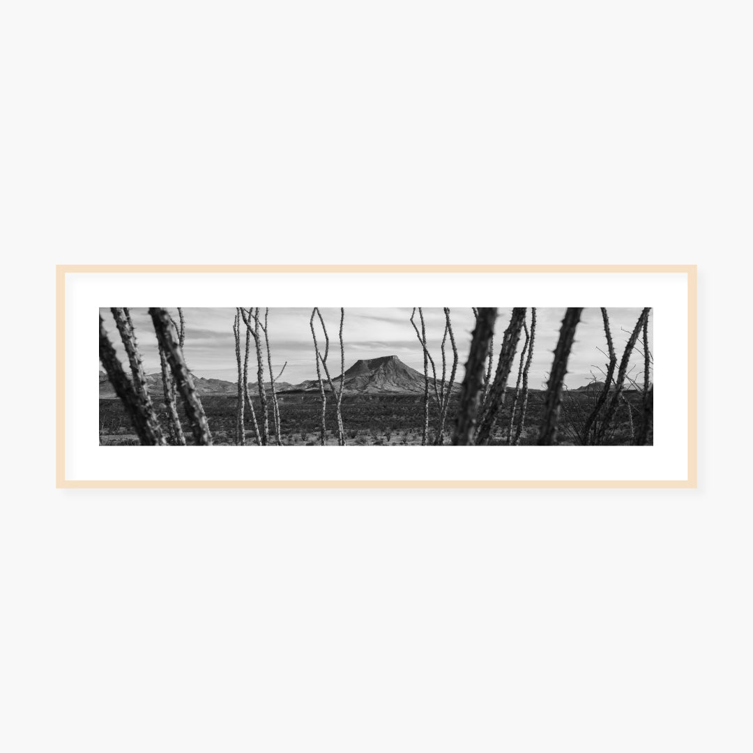 Framed Archival Print